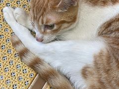 -曼谷食堂·泰国家庭料理(丹桂路店)