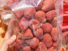 -薛记炒货(佛山岭南站店)