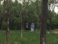 -永定河休闲森林公园