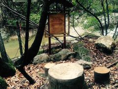 -郧西五龙河风景区