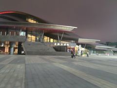 -合肥大剧院