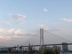 -摆渡站(董家渡站)