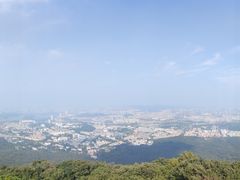 -紫金山山顶公园