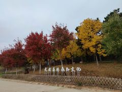 -北京西山国家森林公园