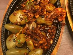 -佶政筋饼·新概念(安阳路店)