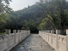 -白水寺森林公园
