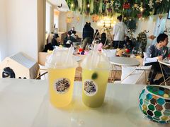 -Husky Go! 哈士奇体验馆·宠物咖啡厅狗咖