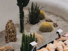 -OUR Bakery(SKP-S店)