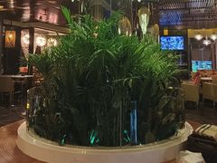 -润园四季椰子鸡火锅(海上世界店)