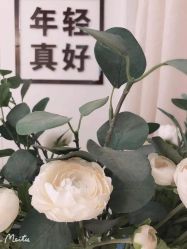 -美肌工坊皮肤管理