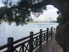 -南宁南湖公园