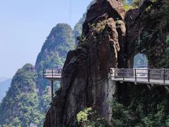 -紫鹊界梯田景区