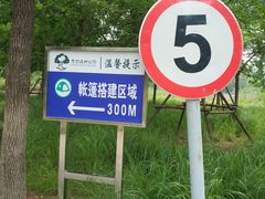 -东郊湿地公园