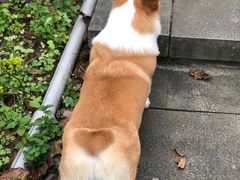 -重庆平顶山公园