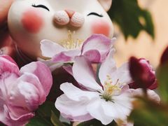 -创艺无限·赵春香微妙艺术馆