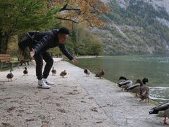 -柯尼希湖
