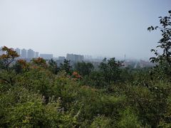 -府君山公园
