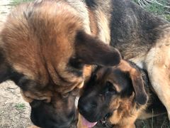 -宠颐生动物医院·心脏科·保险定点(锦阳分院)