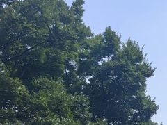 -南京市江宁方山
