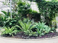 -北京植物园-展览温室
