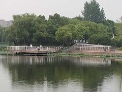 -新江湾城公园