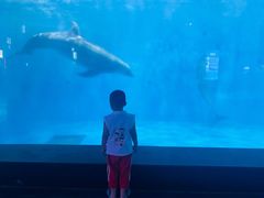 -福州罗源湾海洋世界旅游区