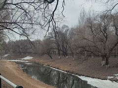 -黛秀湖公园