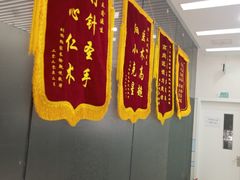 -中农国际动物医院24小时·猫科·骨科·急重症中心