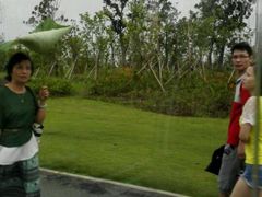 android_upload_pic-艾溪湖湿地公园