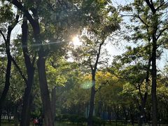 -将府公园