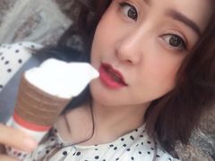 -富豪雪糕车流动点(尖沙咀店)