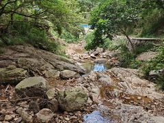 -茶人谷-东海大峡谷