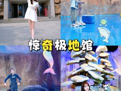 -华夏文旅西安度假区