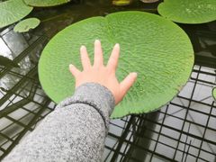 -国家植物园南园