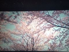 -南宁时代电影大世界(CGS激光中国巨幕)