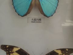 -大连自然博物馆