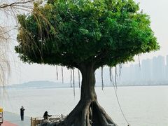 -咸阳湖景区