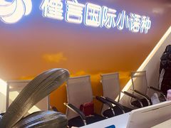 -槿言教育·雅思托福·国际教育·小语种培训留学中心(观音桥店)