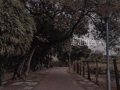 -杨桃公园