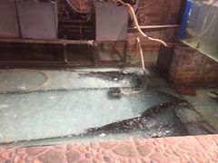 -鱼窝棚柴火铁锅炖(富山屯店)