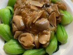 青菜草菇-淘淘园·韩式手工炸酱面(井亭天地店)