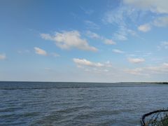 -贡湖湾湿地公园