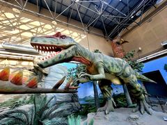 -国家自然博物馆