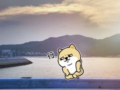 -杨梅坑