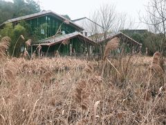 -西湖风景区-江洋畈生态公园