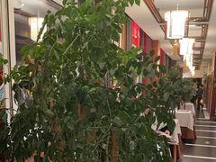-惠丰堂饭庄·烤鸭·京味菜(西北旺·唐家岭店)