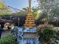 -瑞丽独树成林风景区