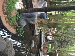 竹里馆-新竹里馆·花园餐厅(兴苑路店)