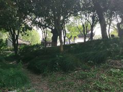 -韩湘水博园