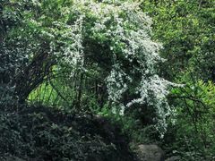 -中国茶叶博物馆(双峰馆区)